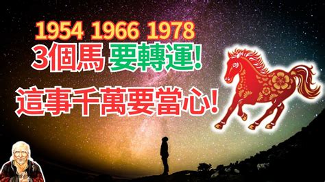 1978屬馬幸運數字|1978年屬馬是什麼命，1978年出生人的命運